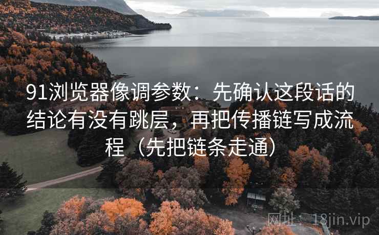 91浏览器像调参数：先确认这段话的结论有没有跳层，再把传播链写成流程（先把链条走通）